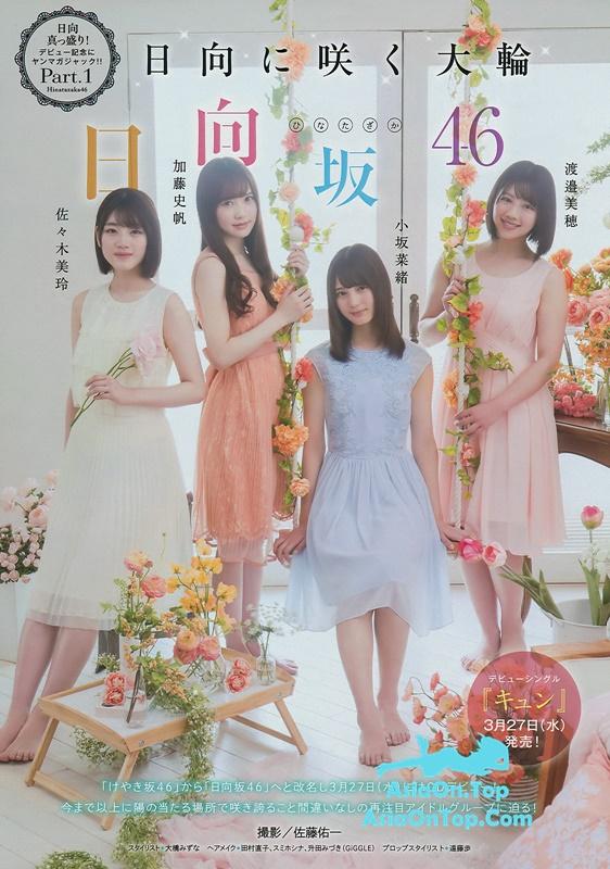 Young Magazine 2019 No.17 Hinata Zaka 46 日向坂46